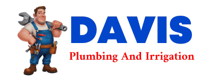 Trusted plumber in LEANDER